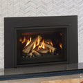 Regency GI29 Gas Insert