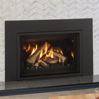 Regency GI29 Gas Insert