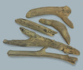 DriftwoodLogs_326x277