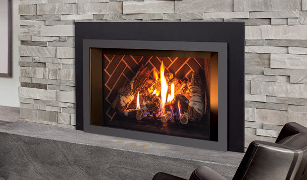 Enviro E33 Gas Insert