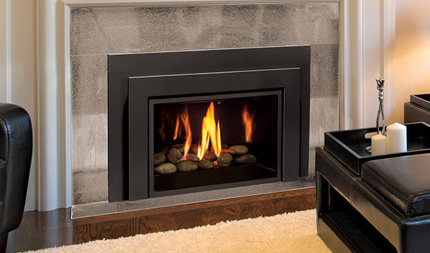 Enviro E33 Gas Insert