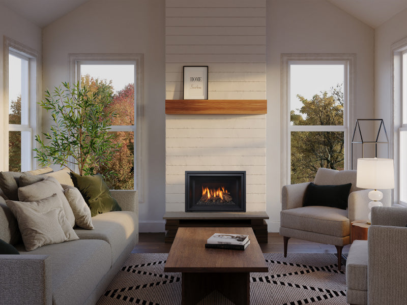 Regency GI25 Atmosphere Direct Vent Gas Insert