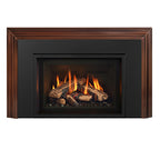 Regency GI33 Atmosphere Direct Vent Gas Insert