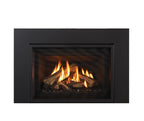 Regency GI25 Atmosphere Direct Vent Gas Insert