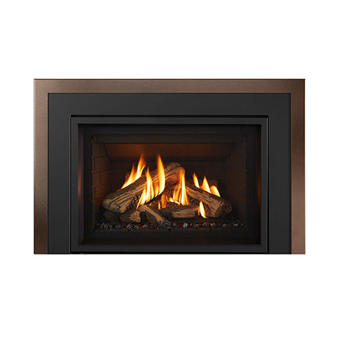 Regency GI25 Atmosphere Direct Vent Gas Insert