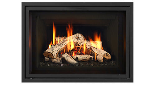 Regency GI25 Atmosphere Direct Vent Gas Insert
