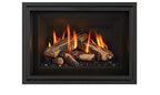 Regency GI25 Atmosphere Direct Vent Gas Insert