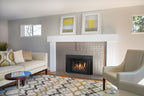 Regency LRI4E Direct Vent Gas Insert