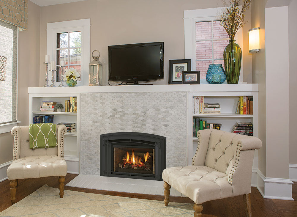 Regency LRI4E Direct Vent Gas Insert