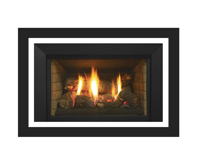 Regency LRI4E Direct Vent Gas Insert