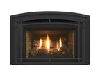 Regency LRI4E Direct Vent Gas Insert