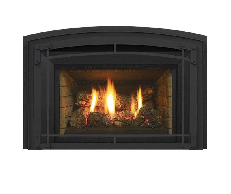 Regency LRI4E Direct Vent Gas Insert