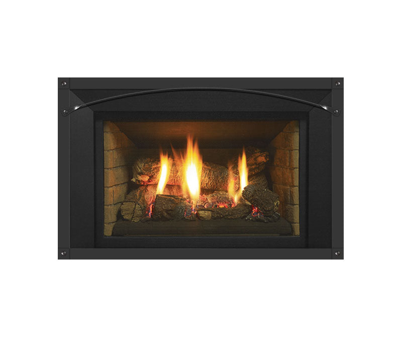 Regency LRI4E Direct Vent Gas Insert