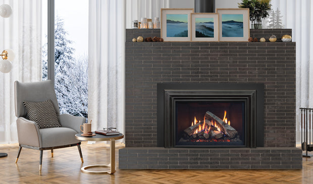 Enviro RI30 Gas Insert