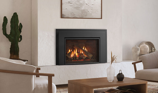 Enviro RI30 Gas Insert