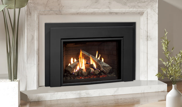 Enviro RI30 Gas Insert