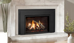 Enviro RI30 Gas Insert