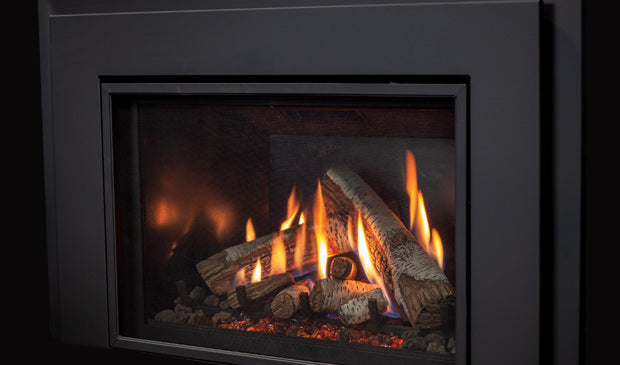 Enviro RI30 Gas Insert