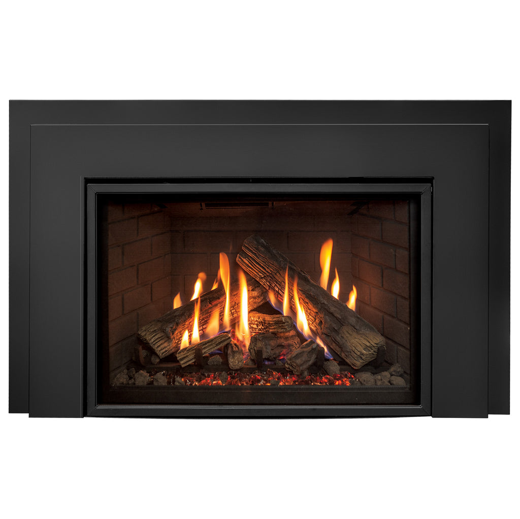 Enviro RI30 Gas Insert