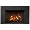 Enviro RI30 Gas Insert