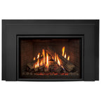 Enviro RI30 Gas Insert