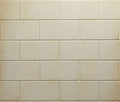 Standard-Brick-Interio