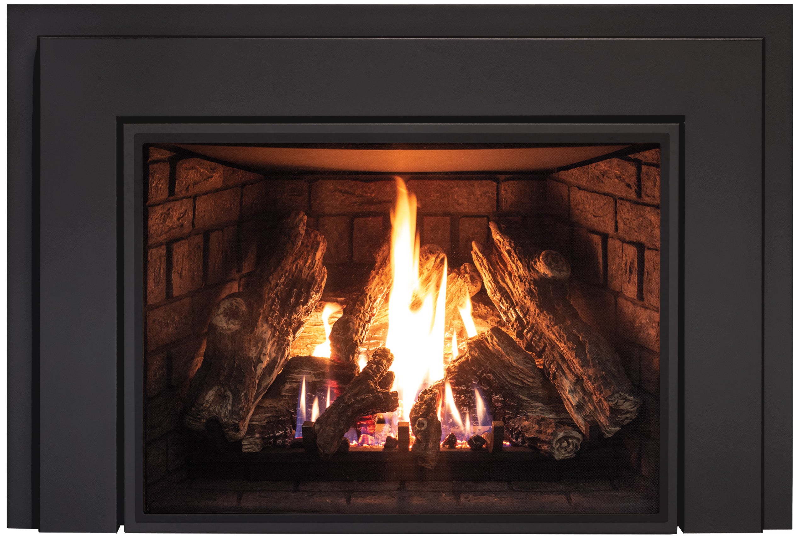 enviro E44 gas insert
