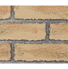 majestic-traditional-refractory-brick-liner-for-fortress-see-through-fireplaces-18