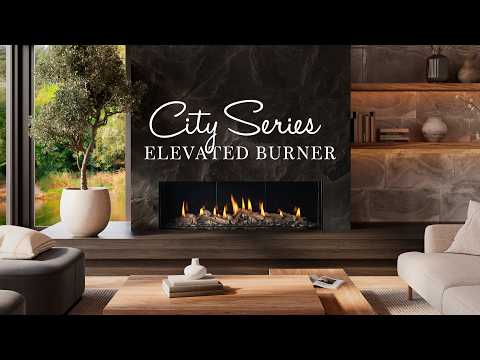 Regency City Series San Francisco Bay 60 Gas Fireplace